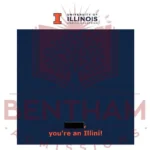 University of Illinois UC Acceptance Letter - 2022