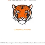 Princeton Acceptance Letter - 2020