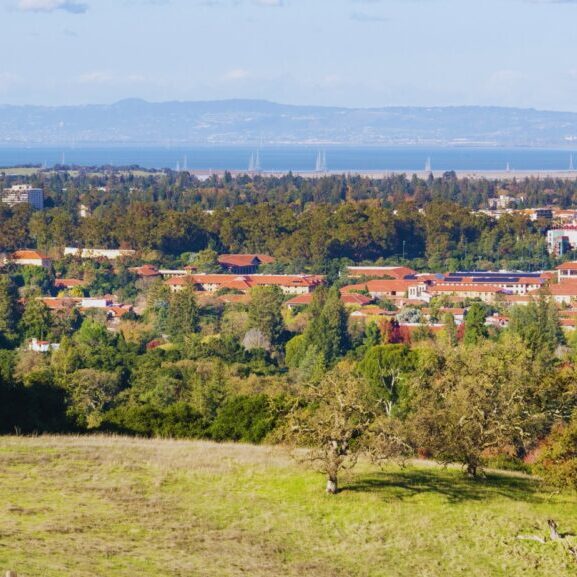 Palo Alto College Admissions Consultants